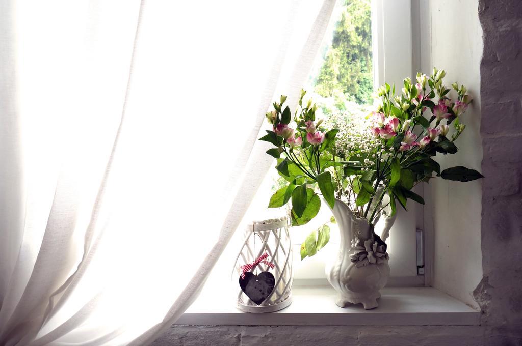Bed & Breakfast Canova トレヴィーゾ エクステリア 写真